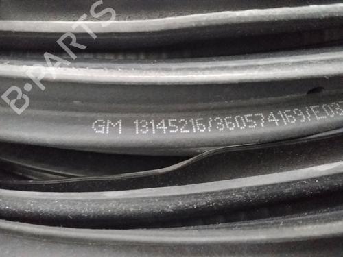 Rubber door seal OPEL MERIVA A MPV (X03)  | BP15447278C142 
