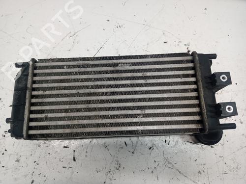 Used Intercooler CITROËN C4 II (NC_) [2009-2025]  16540144