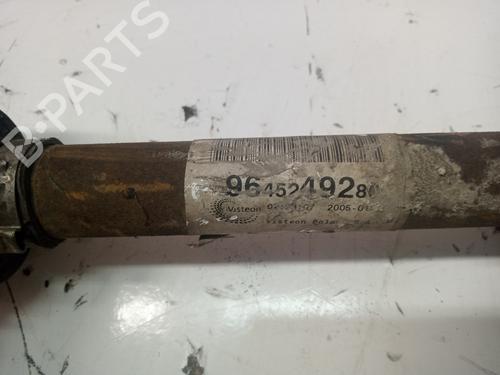 Left front driveshaft FIAT ULYSSE (179_)  | BP16493620M38 