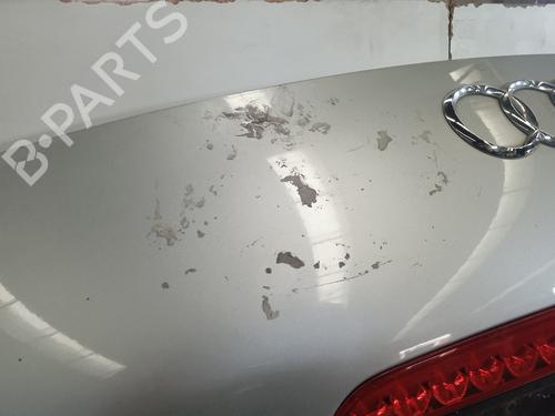 Tailgate AUDI TT (8J3) 3.2 V6 quattro | BP15882809C6 