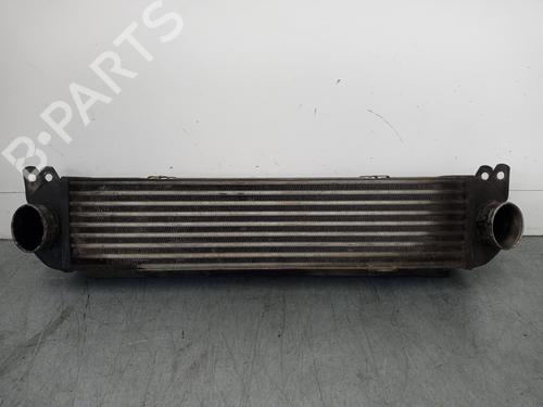 Used Intercooler LAND ROVER RANGE ROVER SPORT I (L320) 2.7 D 4x4 (190 hp) 15450108