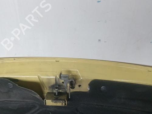 Hood PEUGEOT EXPERT (224_) | BP17429081C1