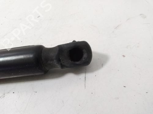 Tailgate lift support MERCEDES-BENZ M-CLASS (W164) ML 320 CDI 4-matic (164.122) | BP15465732C138 