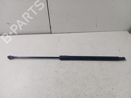 Used Tailgate lift support NISSAN QASHQAI / QASHQAI +2 I (J10, NJ10, JJ10E) [2006-2014]  17319897