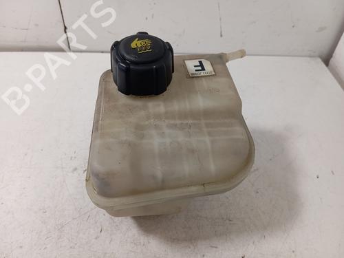 Used Expansion tank NISSAN QASHQAI / QASHQAI +2 I (J10, NJ10, JJ10E) [2006-2014]  17240044