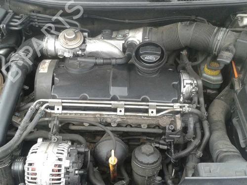 Cylinder head SEAT IBIZA III (6L1)  | BP16537442M5 