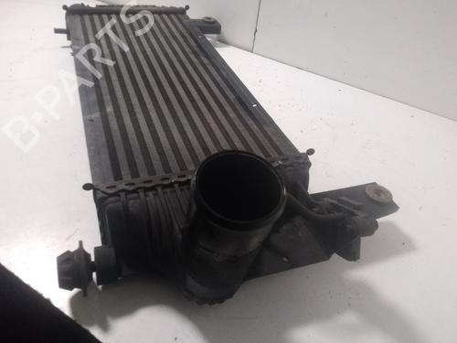 Intercooler NISSAN PATHFINDER III (R51)  | BP15465683M30 