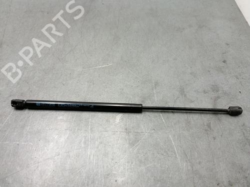 Used Tailgate lift support RENAULT SCÉNIC II (JM0/1_) [2003-2010]  15448942