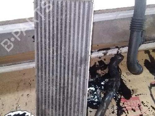 Intercooler RENAULT MEGANE II (BM0/1_, CM0/1_)  | BP15431309M30 