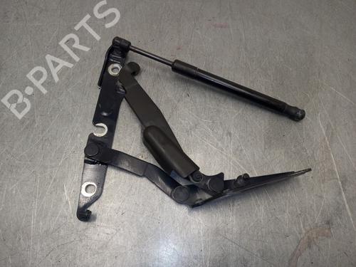 Hinge/Door check strap AUDI A6 C6 (4F2)  | BP15439325C146 