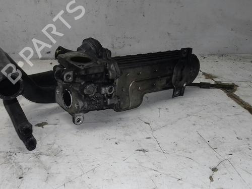 Oliekøler VW PASSAT B6 (3C2)  | BP15440056M33 