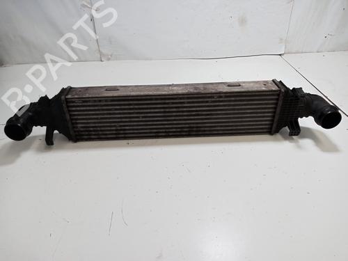 Used Intercooler MERCEDES-BENZ E-CLASS (W212) E 250 CDI / BlueTEC (212.003, 212.004) (204 hp) 15465279