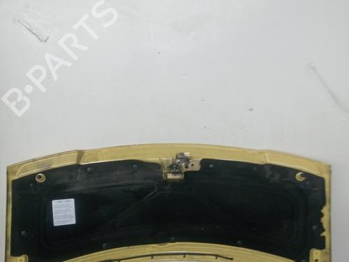 Hood PEUGEOT EXPERT (224_) | BP17429081C1