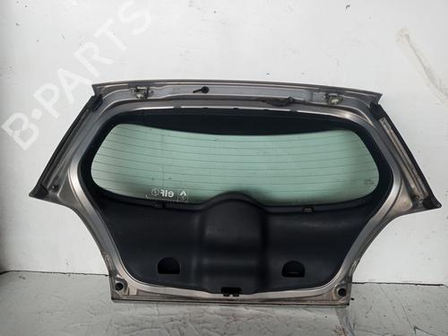 Tailgate RENAULT MEGANE II (BM0/1_, CM0/1_)  | BP19136519C6 