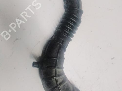 Used Pipe RENAULT CLIO III (BR0/1, CR0/1) [2005-2014]  16434191