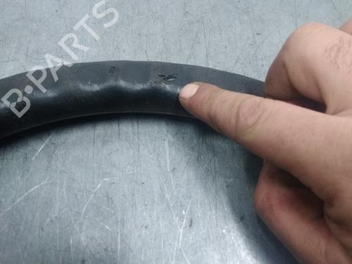 Rat SEAT TOLEDO II (1M2)  | BP16185670C49 