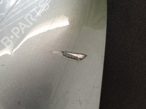 Spoiler bakluke PORSCHE CAYENNE (9PA) 3.2 | BP15455072C96 