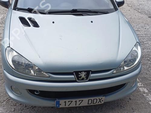 Right rear door PEUGEOT 206 Hatchback (2A/C)  | BP21394482C5 