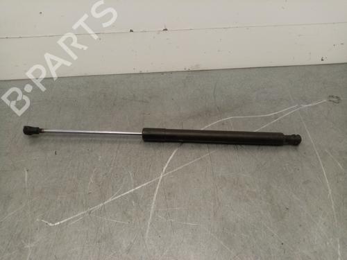 Gassdemper Bakluke RENAULT CLIO III (BR0/1, CR0/1) 1.5 dCi (BR0H, CR0H, CR1S, BR1S) (106 hp) 16365148