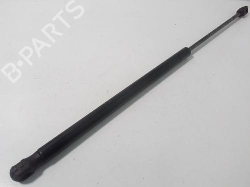 Tailgate lift support LAND ROVER RANGE ROVER SPORT I (L320) 2.7 D 4x4 | BP15456232C138 
