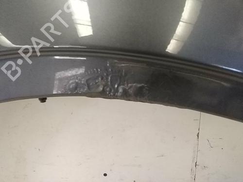 Right front fenders BMW X5 (E53) 3.0 d | BP19482669C42 