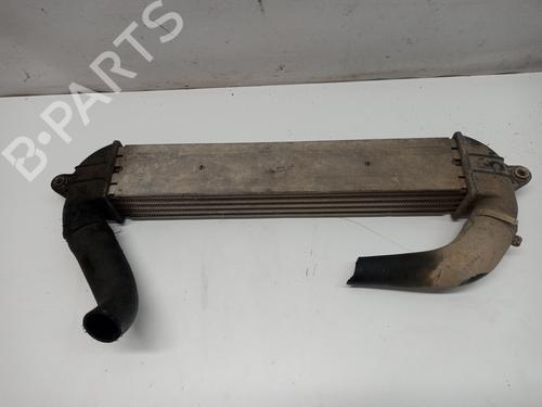 Intercooler FIAT DOBLO Box Body/MPV (223_) 1.9 JTD (105 hp) 15446687