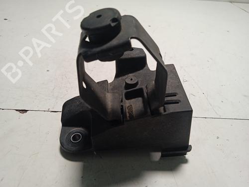 Other RENAULT SCÉNIC III (JZ0/1_) 1.6 dCi (JZ00, JZ12) | BP15816341O1 
