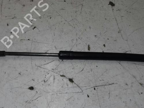 Tailgate lift support BMW 2 Coupe (F22, F87) 220 i | BP15586699C138