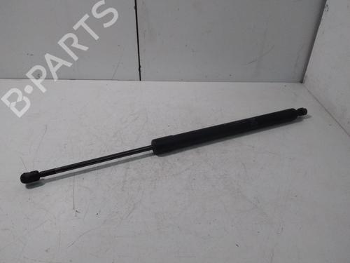 Tailgate lift support FORD TOURNEO CONNECT / GRAND TOURNEO CONNECT V408 MPV 1.6 TDCi DT11V406A10AE
