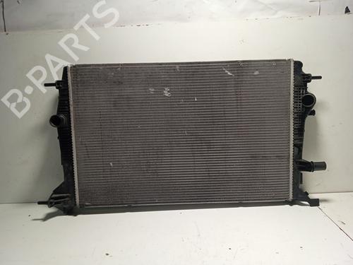 Køler RENAULT SCÉNIC III (JZ0/1_) 1.6 dCi (JZ00, JZ12) (130 hp) 15816324