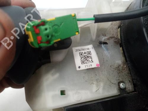 Switch RENAULT SCÉNIC III (JZ0/1_) 1.6 dCi (JZ00, JZ12) | BP24453749I30 