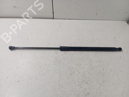 Used Tailgate lift support NISSAN QASHQAI / QASHQAI +2 I (J10, NJ10, JJ10E) [2006-2014]  17319896