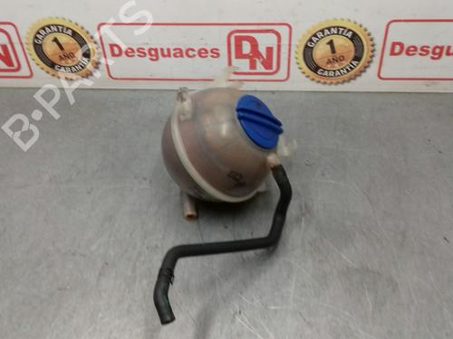 Expansion tank VW PASSAT B6 (3C2) 2.0 TDI 16V | BP15436307C120 