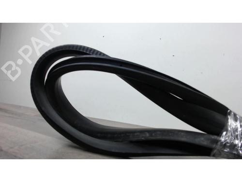 Rubber door seal RENAULT MEGANE IV Hatchback (B9A/M/N_) 1.6 dCi 130 (B9A4) | BP25448058C142 