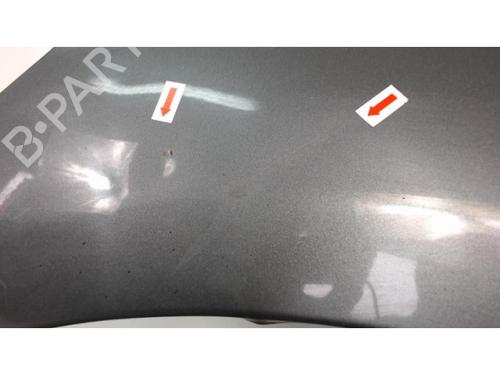 Right front fenders TOYOTA COROLLA Verso (ZER_, ZZE12_, R1_) 2.0 D-4D (CUR10_, CUR10R) | BP24656694C42 