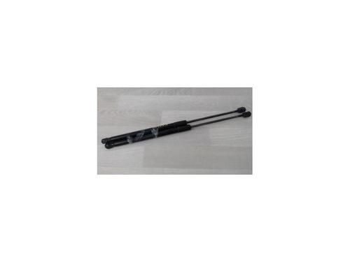 Used Tailgate lift support MERCEDES-BENZ A-CLASS (W169) A 200 CDI (169.008, 169.308) (140 hp) 24027729