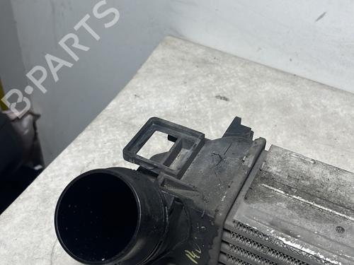 Intercooler RENAULT MEGANE III Hatchback (BZ0/1_, B3_) 1.5 dCi | BP31085019M30