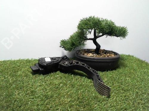 Pedal PEUGEOT 308 I (4A_, 4C_) 1.6 HDi (109 hp) 30705484