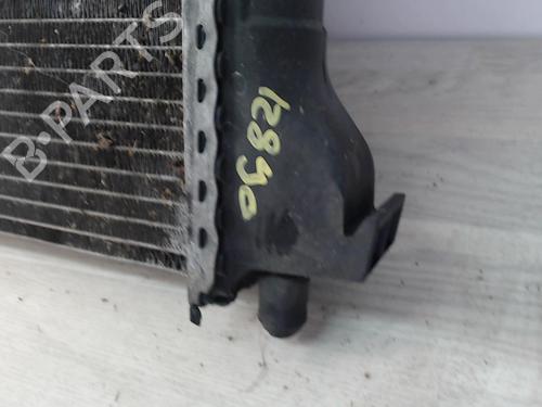 Water radiator RENAULT VEL SATIS (BJ0_) 3.0 dCi (BJ0S) | BP24028041M31