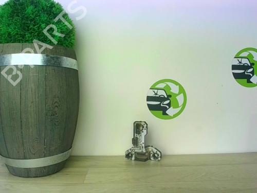 Licence plate light ROVER 75 (RJ) 2.0 CDT | BP21181759I40