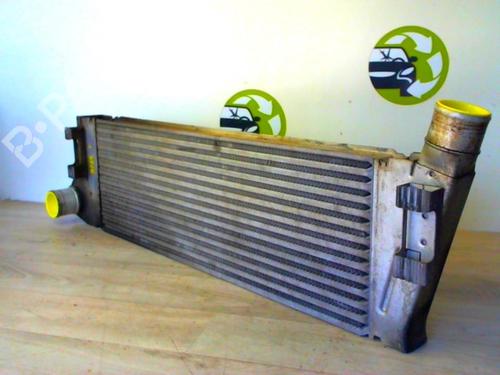 Used Intercooler RENAULT SCÉNIC II (JM0/1_) 1.9 dCi (JM0G, JM12, JM1G, JM2C) (120 hp) 24021764