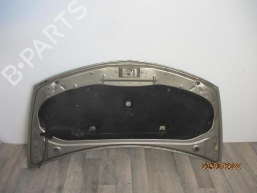 Used Hood Hood RENAULT CLIO III (BR0/1, CR0/1) 1.5 dCi (C/BR0G, C/BR1G) (68 hp) 24024797 24024797