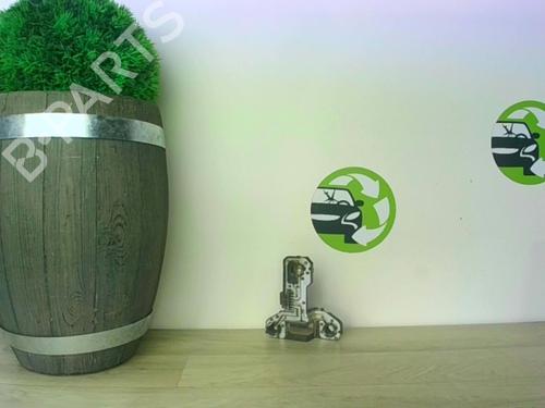 Used Licence plate light ROVER 75 (RJ) 2.0 CDT (115 hp) 21181759