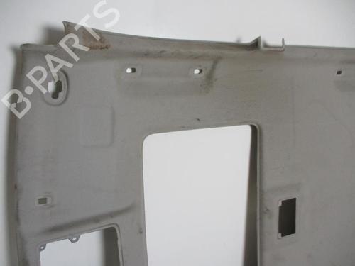 Interiør taket SUZUKI GRAND VITARA II (JT, TE, TD) 1.9 DDiS All-wheel Drive (JT419, TD44, JB419WD, JB419XD,... (129 hp) 24022047