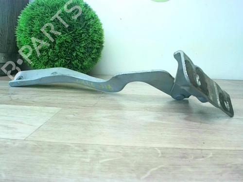 Hinge/Door check strap NISSAN QASHQAI / QASHQAI +2 I (J10, NJ10, JJ10E) 1.5 dCi | BP24023228C146 