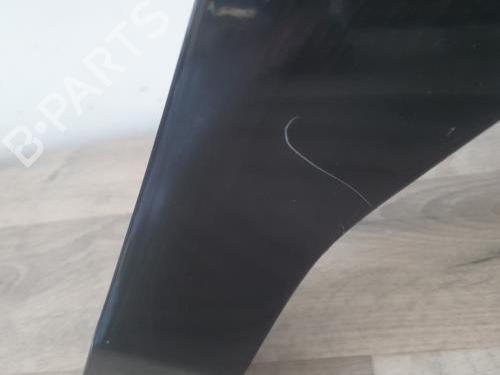 Right front fenders RENAULT LAGUNA Coupe (DT0/1) 2.0 dCi (DT01, DT08, DT09, DT0K, DT12, DT1C, DT1D, DT1M,... | BP25899877C42 