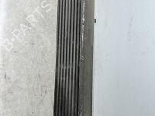 Used Intercooler RENAULT LAGUNA III (BT0/1) 2.0 dCi (BT07, BT0J, BT14, BT1A, BT1S) (131 hp) 31031912