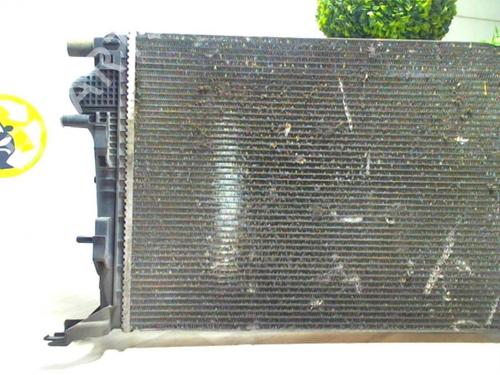 Water radiator RENAULT MEGANE III Hatchback (BZ0/1_, B3_) 1.9 dCi (BZ0N, BZ0J) | BP24024193M31 