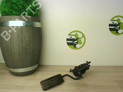 Pedal RENAULT ZOE (BFM_) ZOE | BP23981278I4