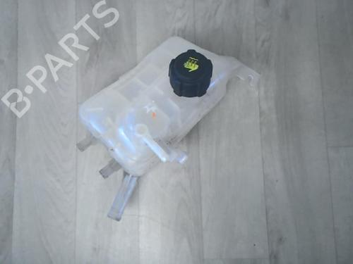 Expansion tank RENAULT SCÉNIC III (JZ0/1_) 1.5 dCi | BP29863938C120